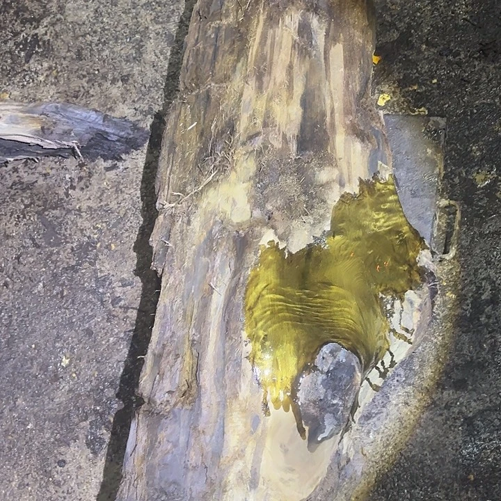 光***张乌木金丝楠摆件毛料