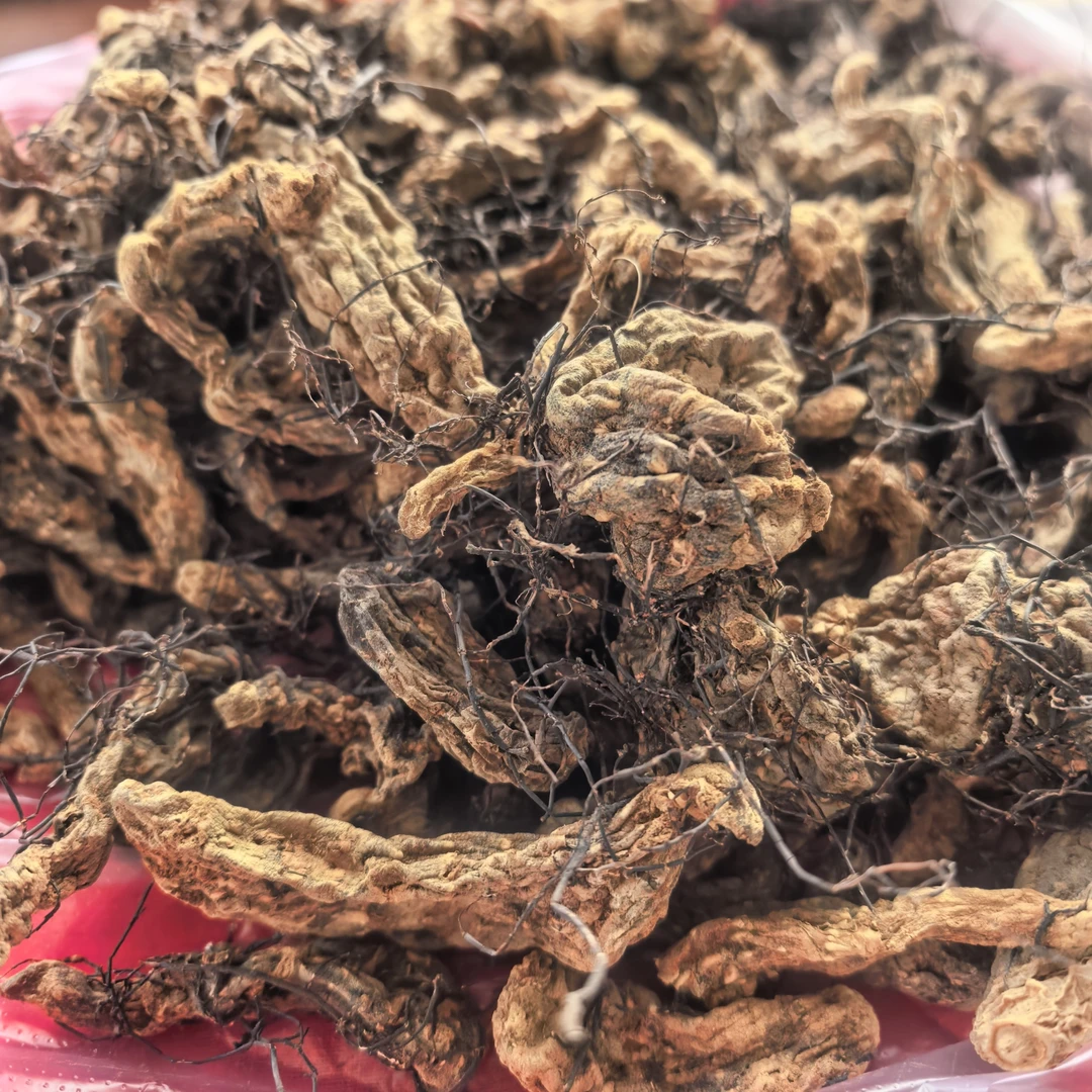 云南深山土特产农产品龙须天麻