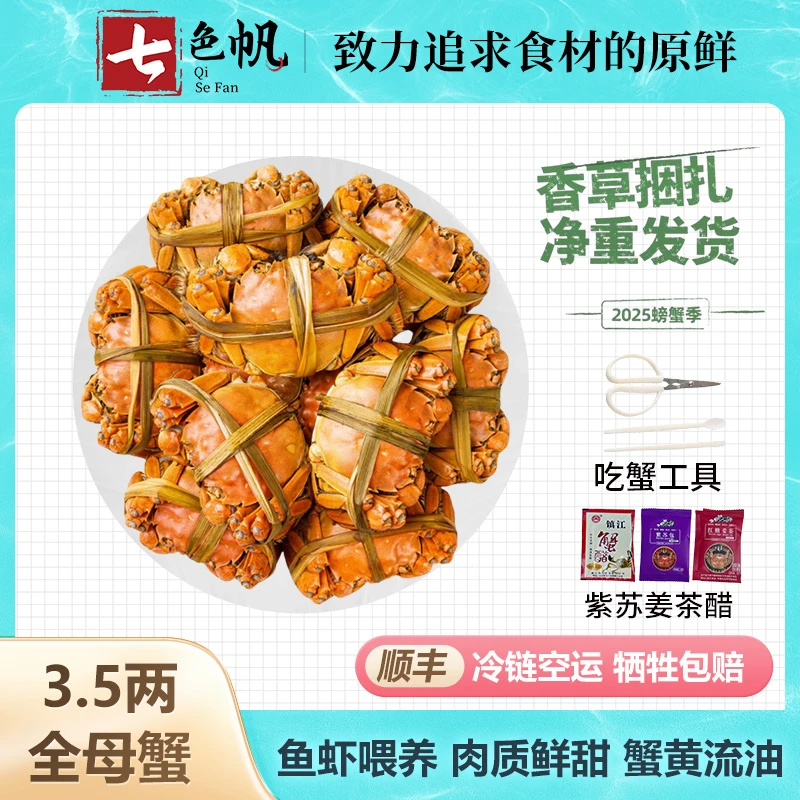 【3.5两全母蟹】10只装精品大闸蟹鲜活包活固城湖螃蟹河蟹顺丰空运