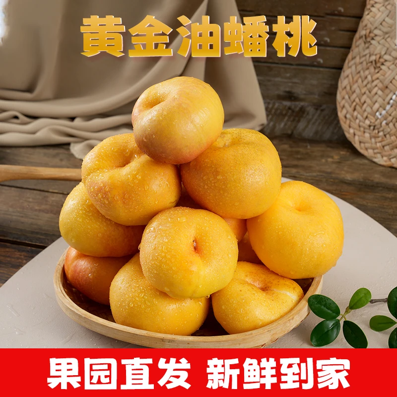 2025蒙阴黄金油蟠桃新鲜水果2/4斤当季黄心油桃脆桃扁桃蟠桃油桃