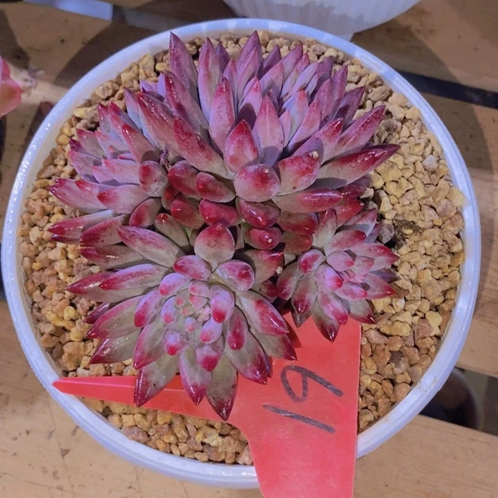 这个点就不应该喝的