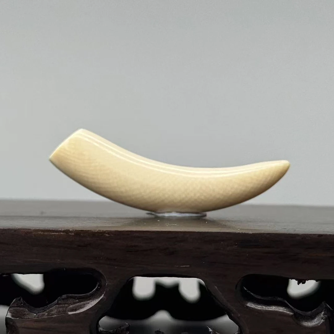 46*9*6mm4.7g牙尖吊坠天然猛犸牙默认打孔吊坠绳Y253