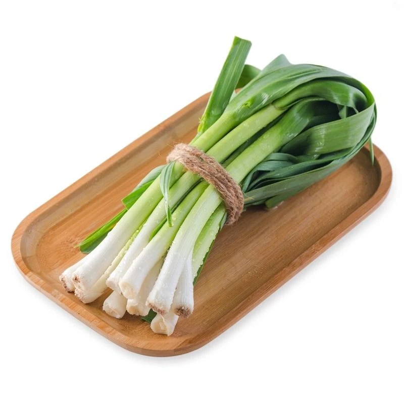 新鲜香蒜苗 青蒜苗 约150g