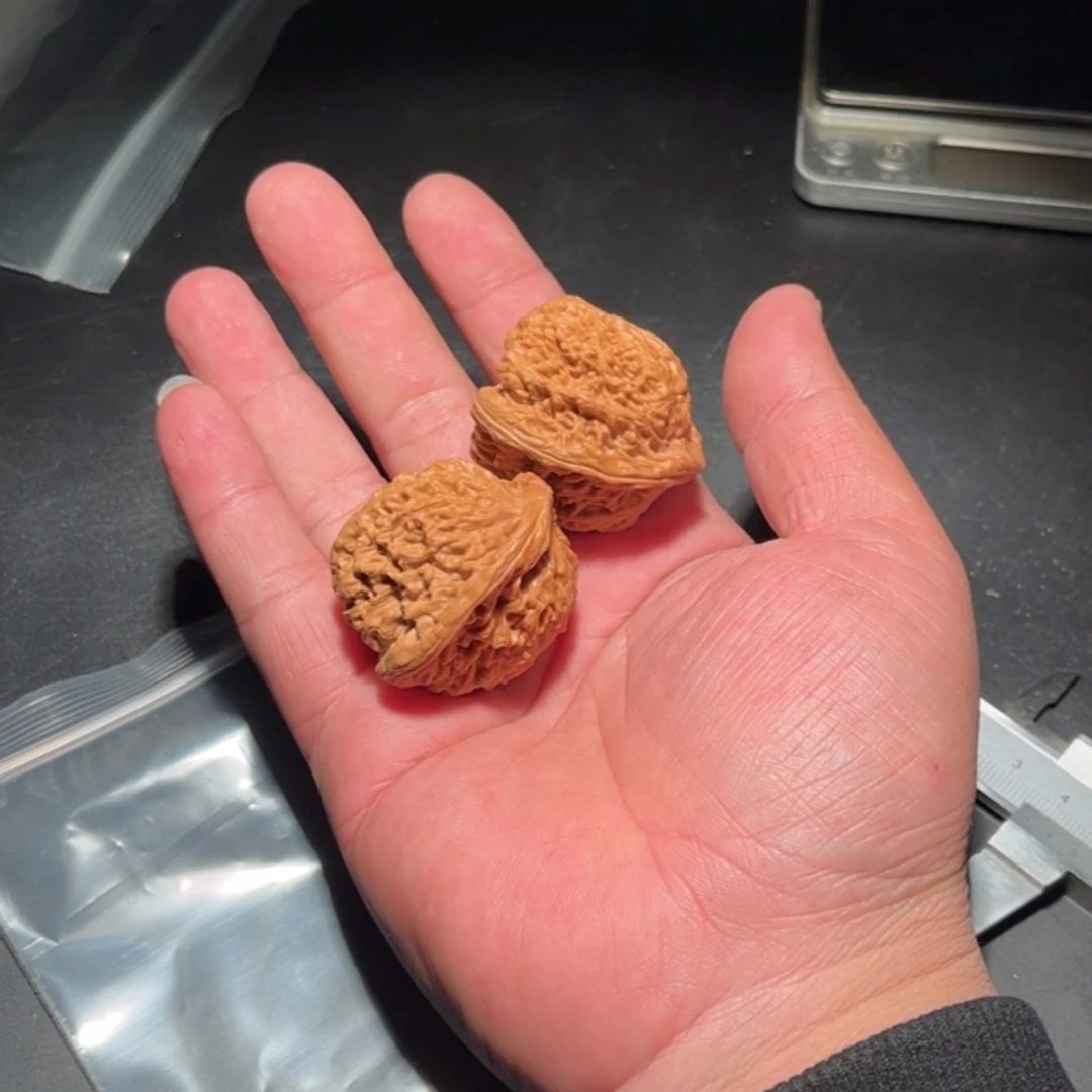 【闪购商品】大***7文玩核桃木制手把件