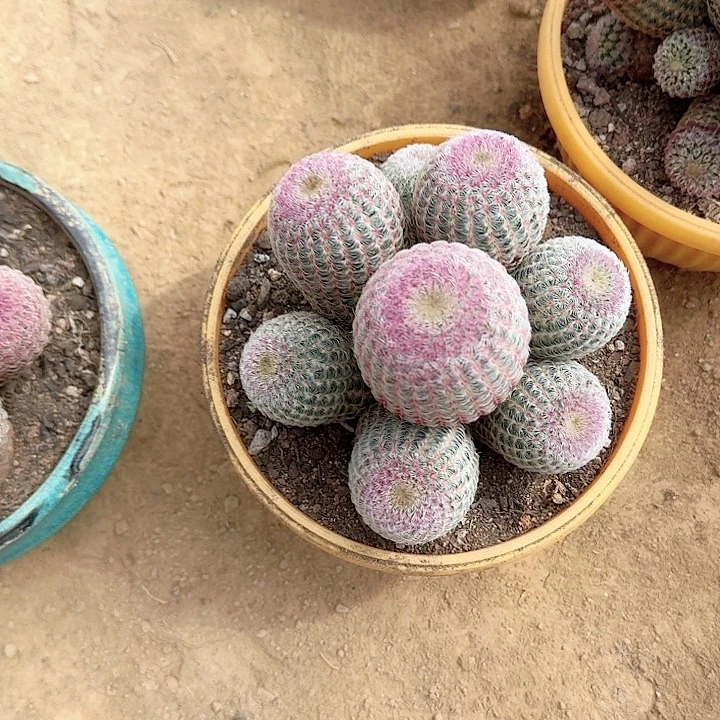 隨***哈哈哈哈哈哈哈哈哈哈