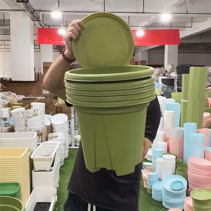 青山320口32高28果绿色5个带托