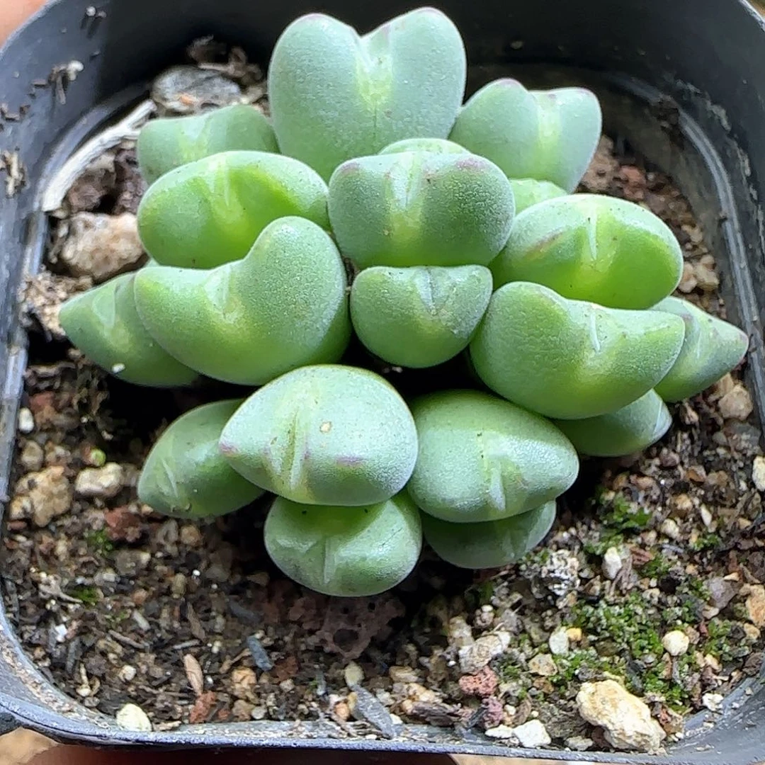 哈哈哈哈哈哈哈50306