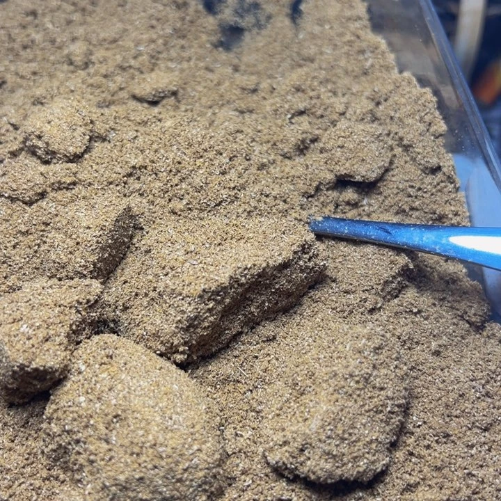 木沉香白棋粉末100克