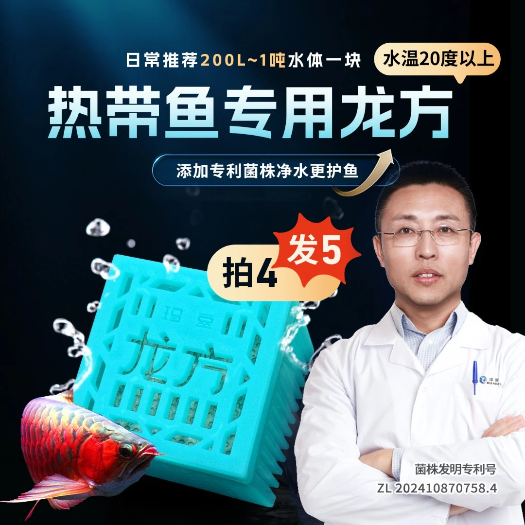 玛豆龙方鱼缸专用缓释硝化活菌水质净化观赏鱼好氧反硝化菌