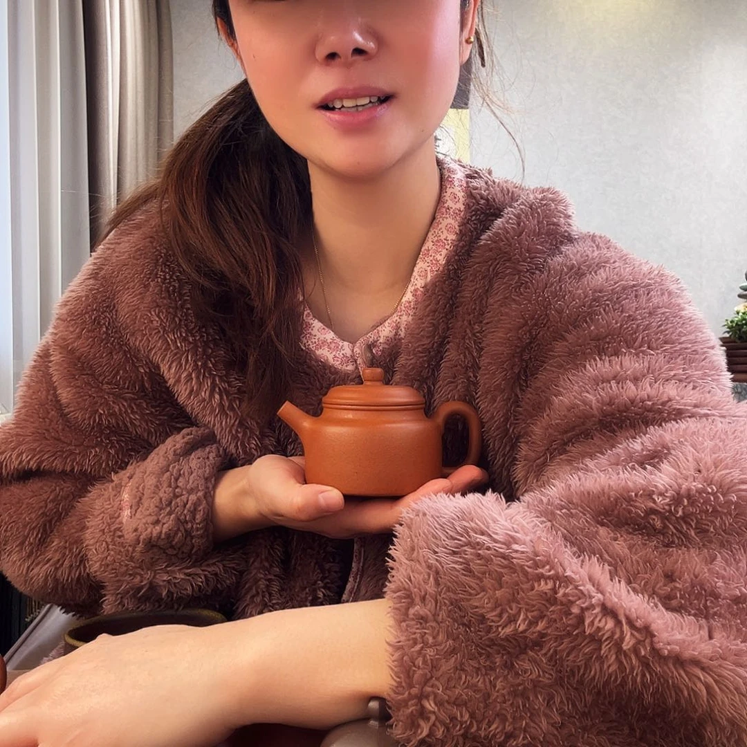 茶壶紫砂宜兴原矿紫砂茶壶