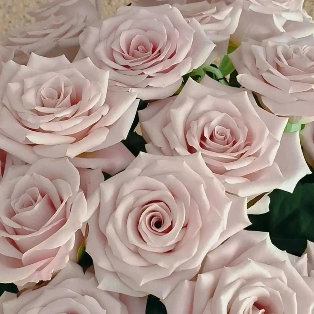 【与你鲜花】【送货到家+冷链】曼塔+向日葵+橙芭比+多头卡布+尤加利