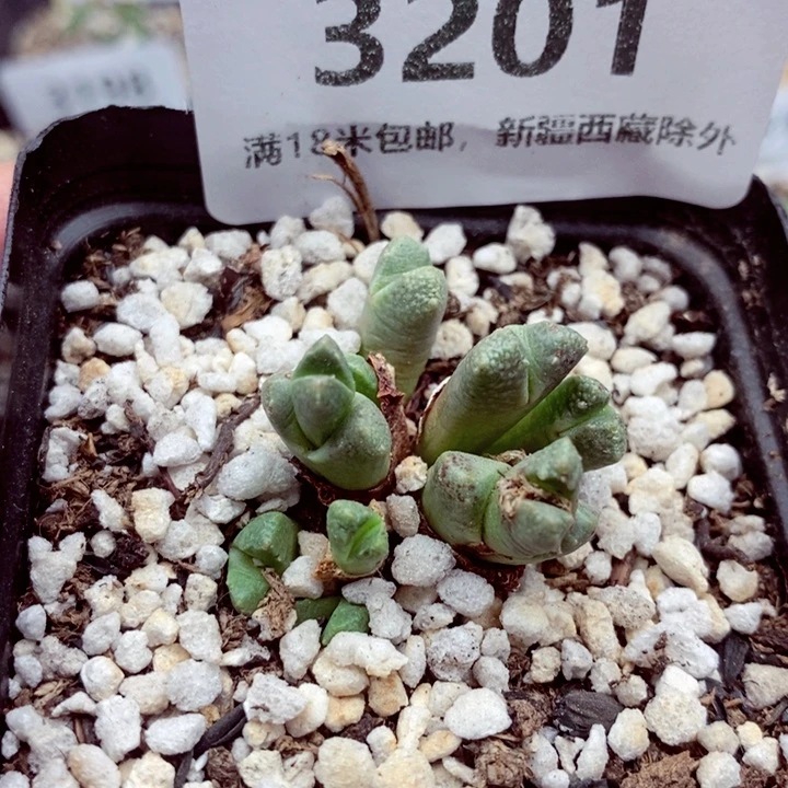 3201。