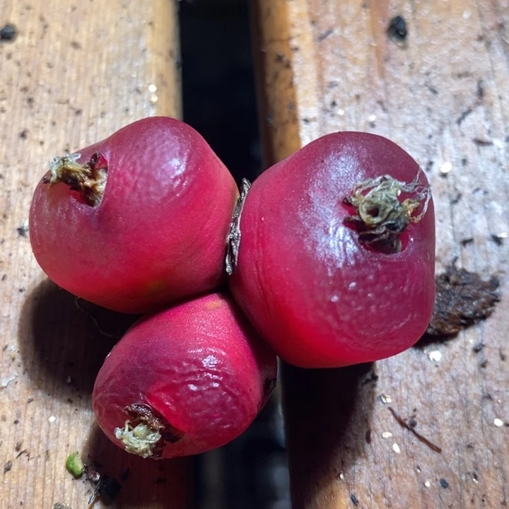 N***e22250一个一个一个