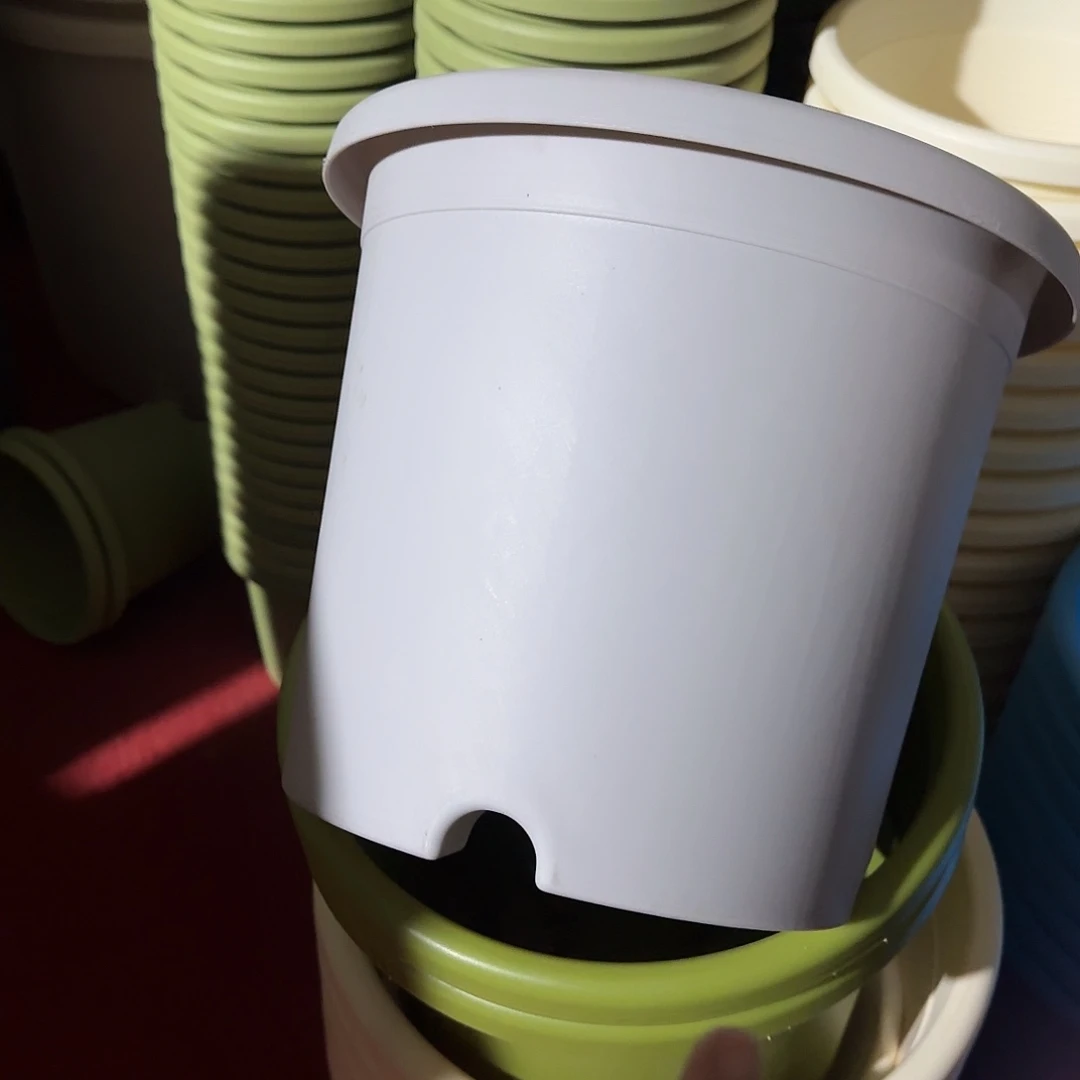 树脂四季4号无托8个灰白微瑕