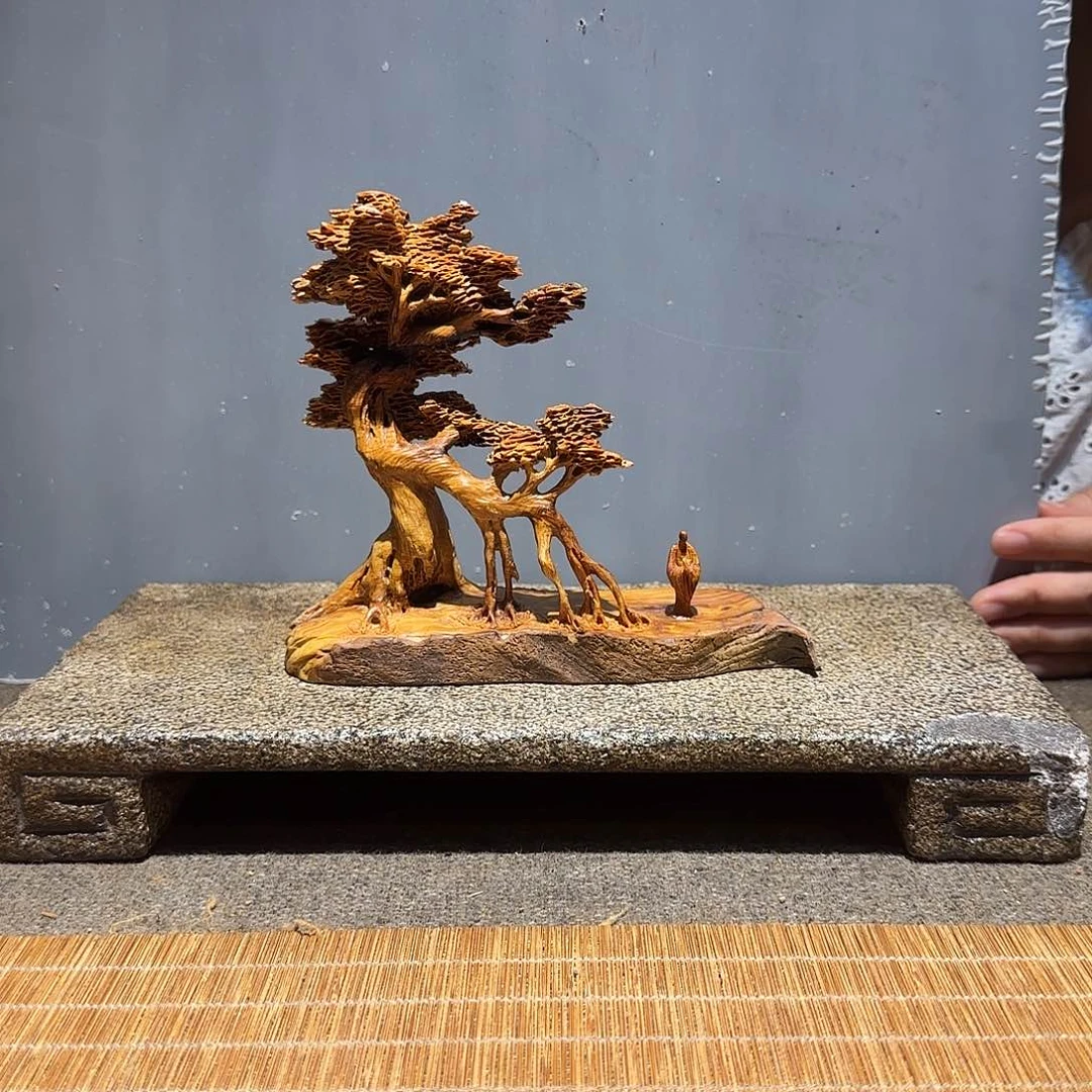 柏木（崖柏）太行集团