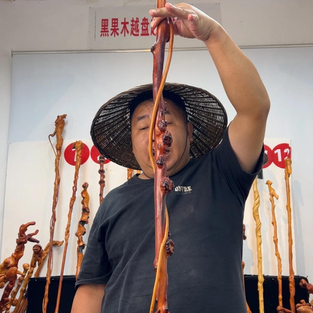 黑果木其他黑果木787