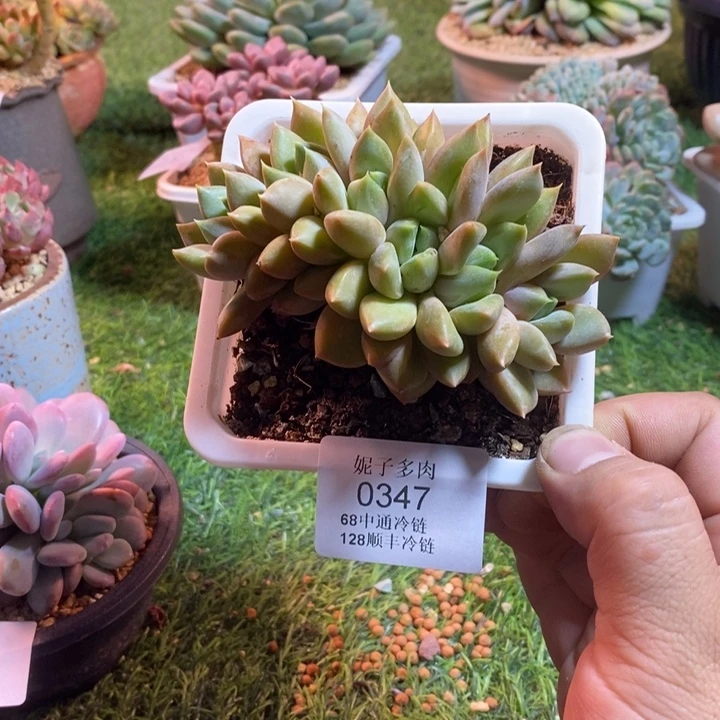 0347啊啊啊啊啊啊啊啊啊啊啊