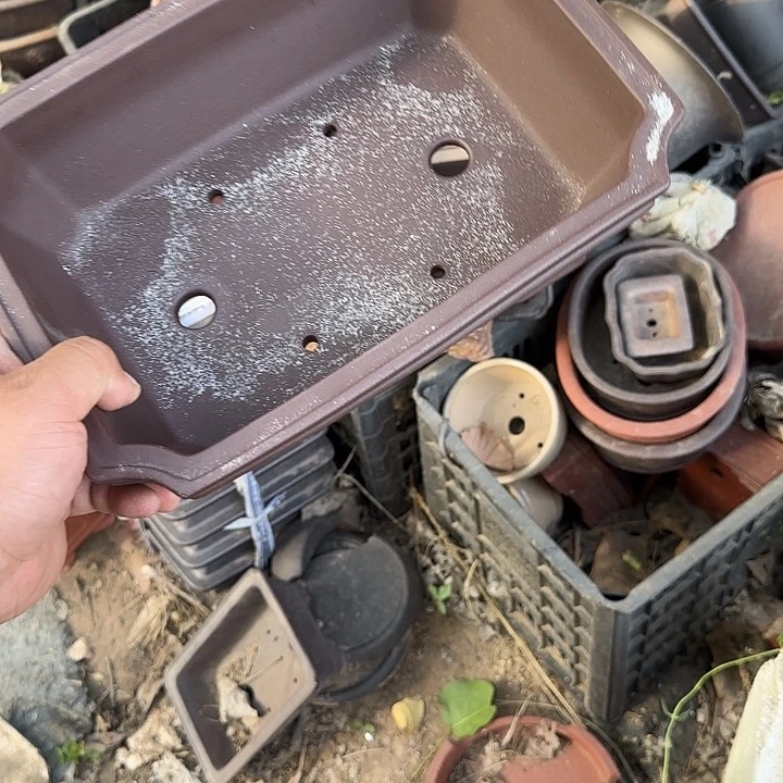 一定很有成就感哦笑