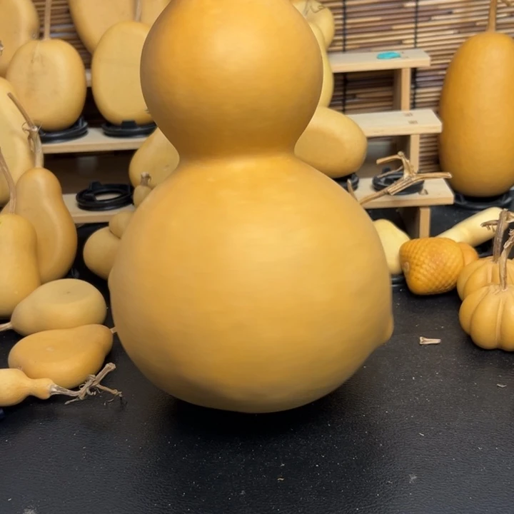 飞*366999998669969999