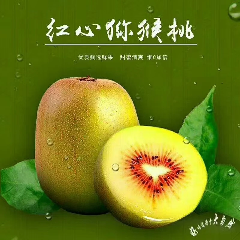 西峡新鲜红心猕猴桃应季水果香甜多汁口感正宗奇异果
