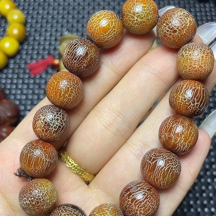 其他驼骨其他配饰