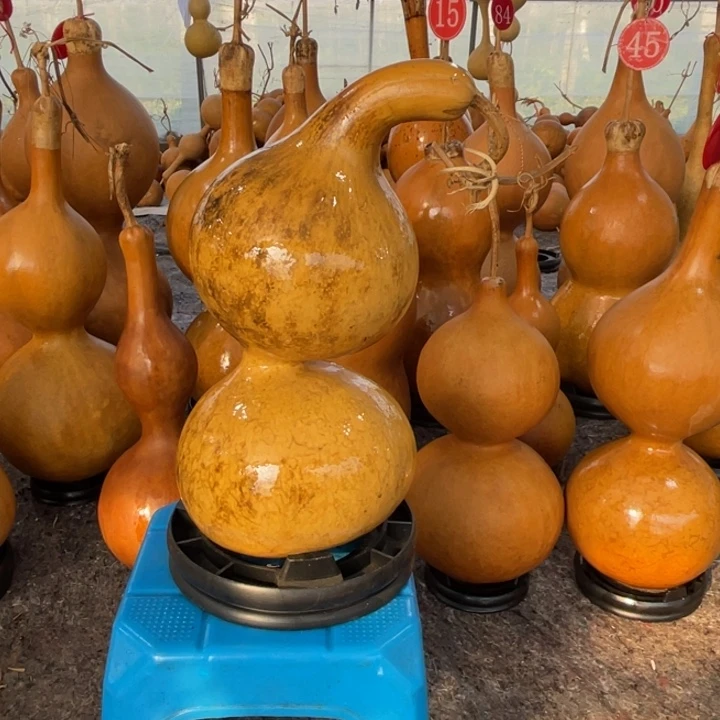 不***长大叶紫檀（黑酸枝木类）