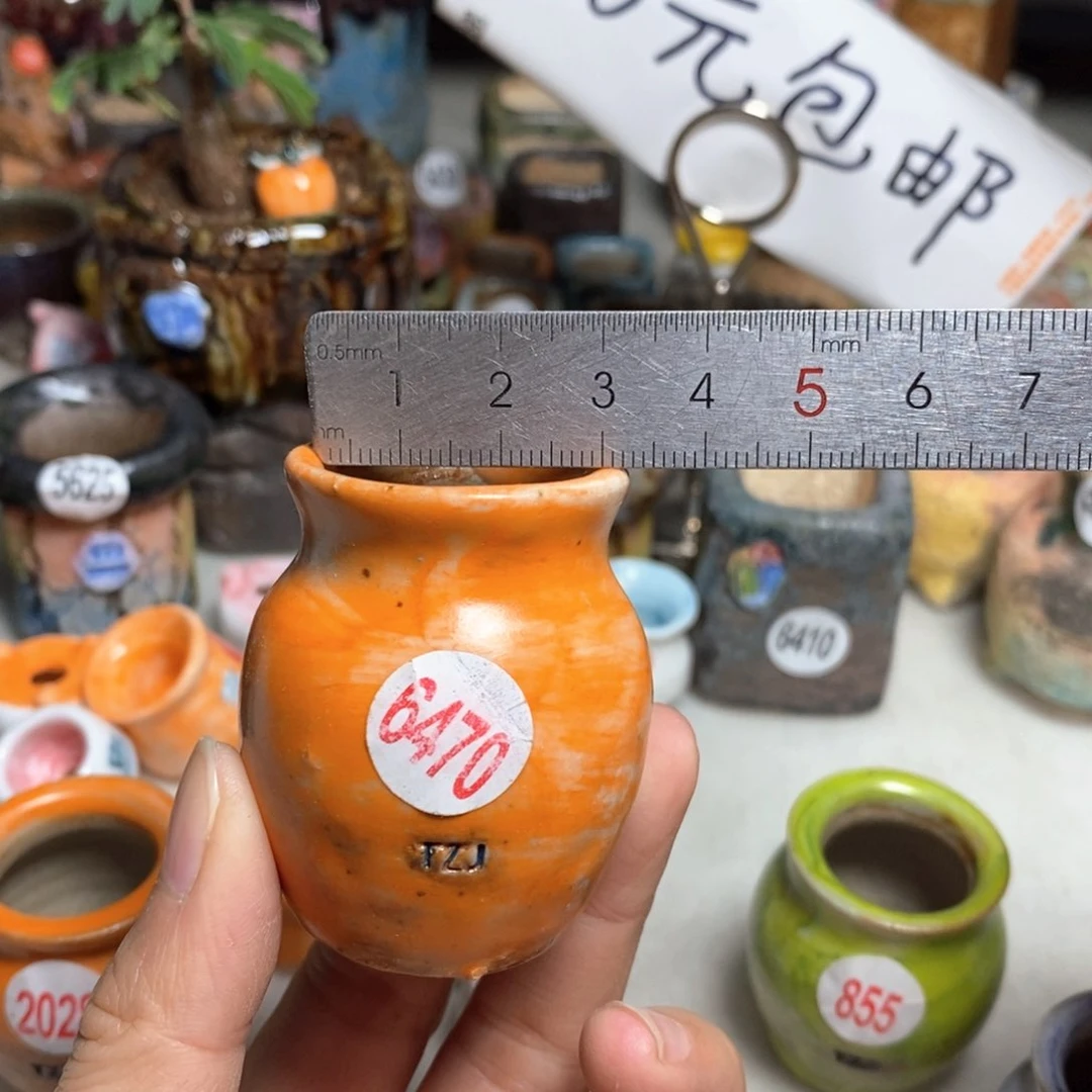 双十一福利款不退不换，原16元一个