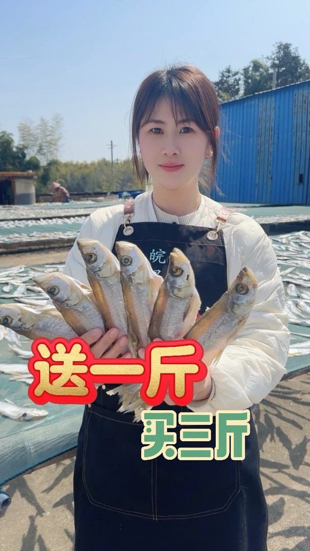 安徽宣城特产南漪湖小鱼干馋条鱼咸鱼翘嘴鱼干下饭菜美味生鲜