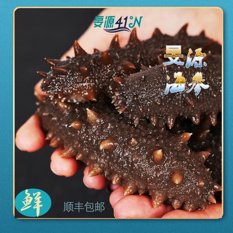 旻源正宗辽刺参3A海参（13-14头/斤）