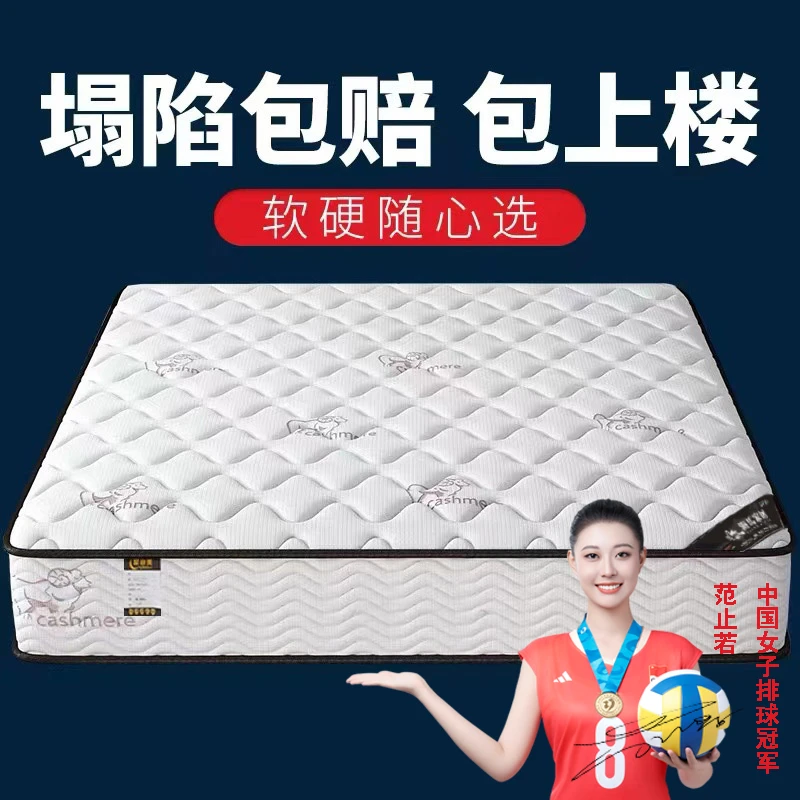 帝诗菲床垫软硬两用十大名牌20经济型席梦思乳胶椰棕弹簧家用租房
