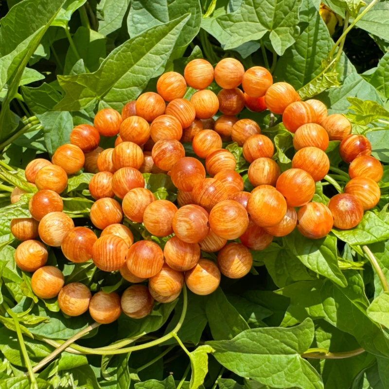 长白山松香琥珀木