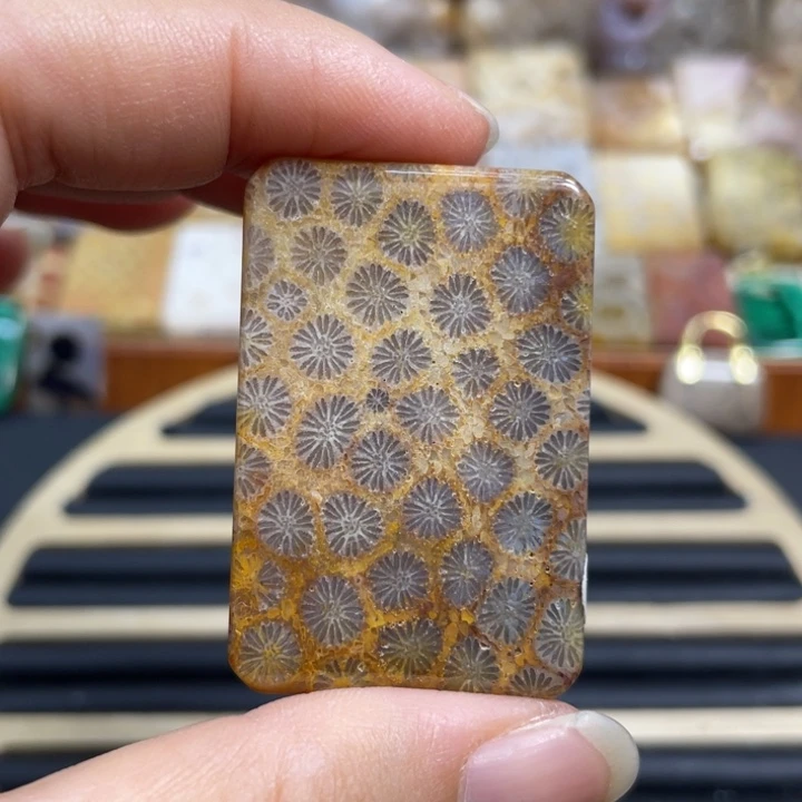 硅化玉未镶嵌颈饰k81