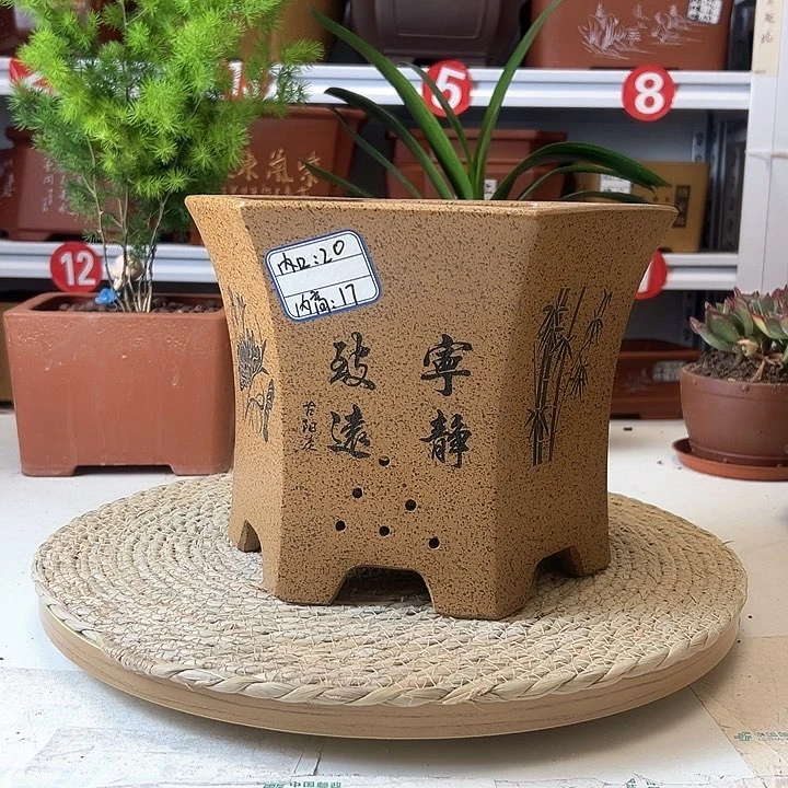 紫砂花盆蛇年大吉