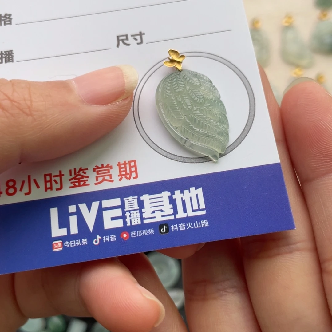 翡翠未镶嵌颈饰金扣翅膀