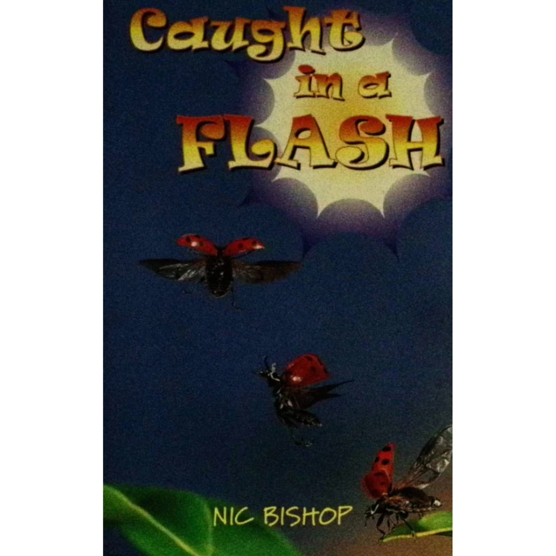 轨道章节书原版书英语科普瞬间捕捉NicBishop亲子共读