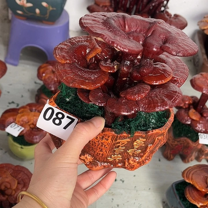 全部花朵888888888888888888