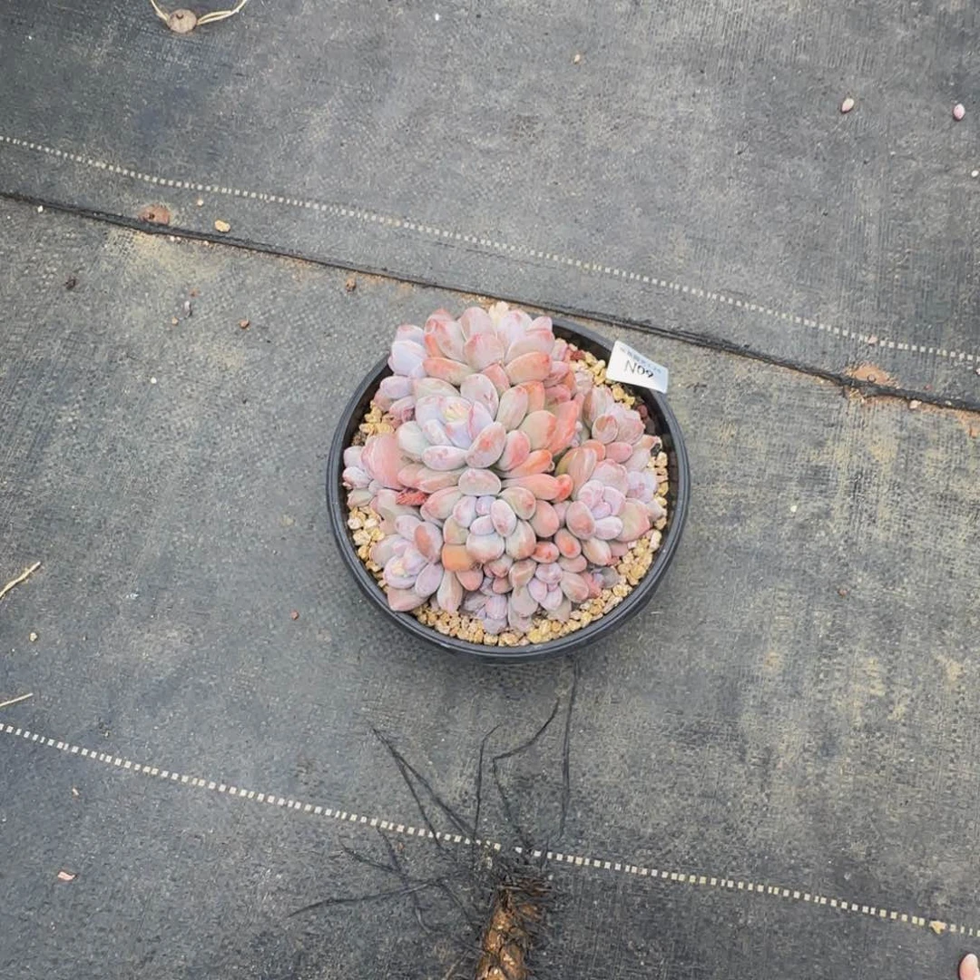 n n n n n n n n n 9