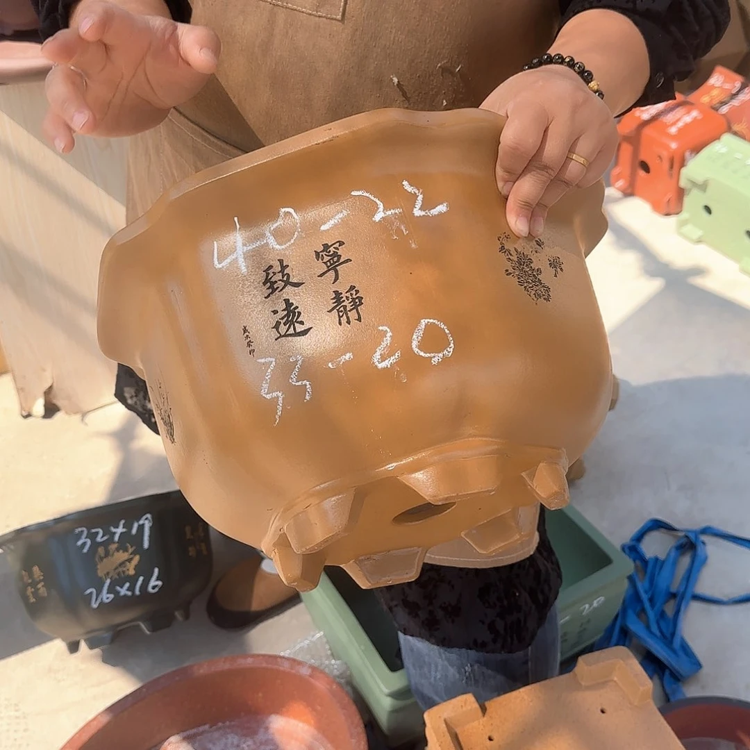紫砂花盆这是我的