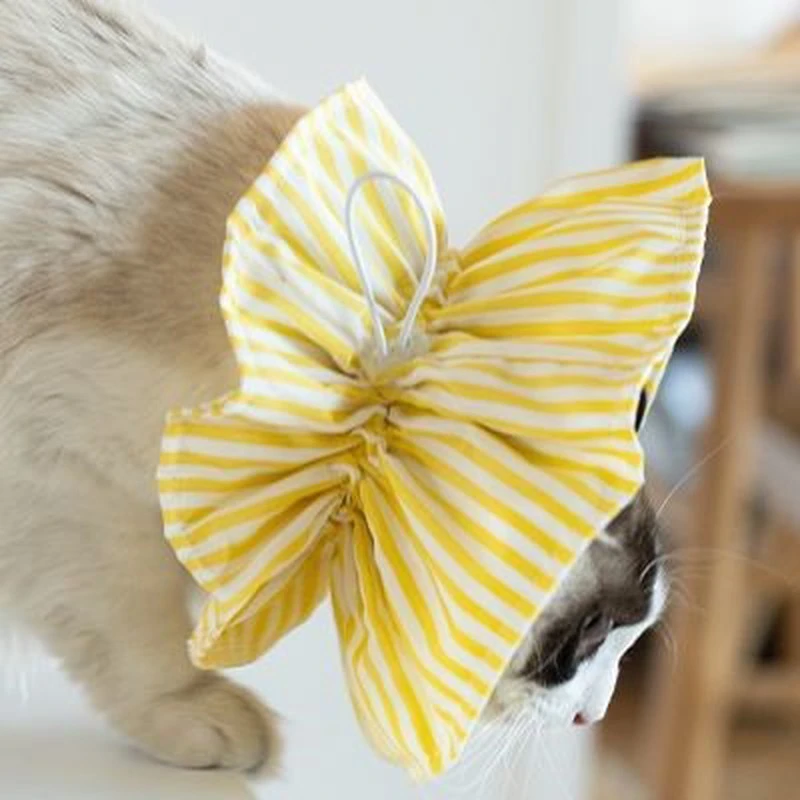 伊丽莎白圈狗狗脖套猫咪绝育驱虫防可爱宠物围脖舔项圈饰品