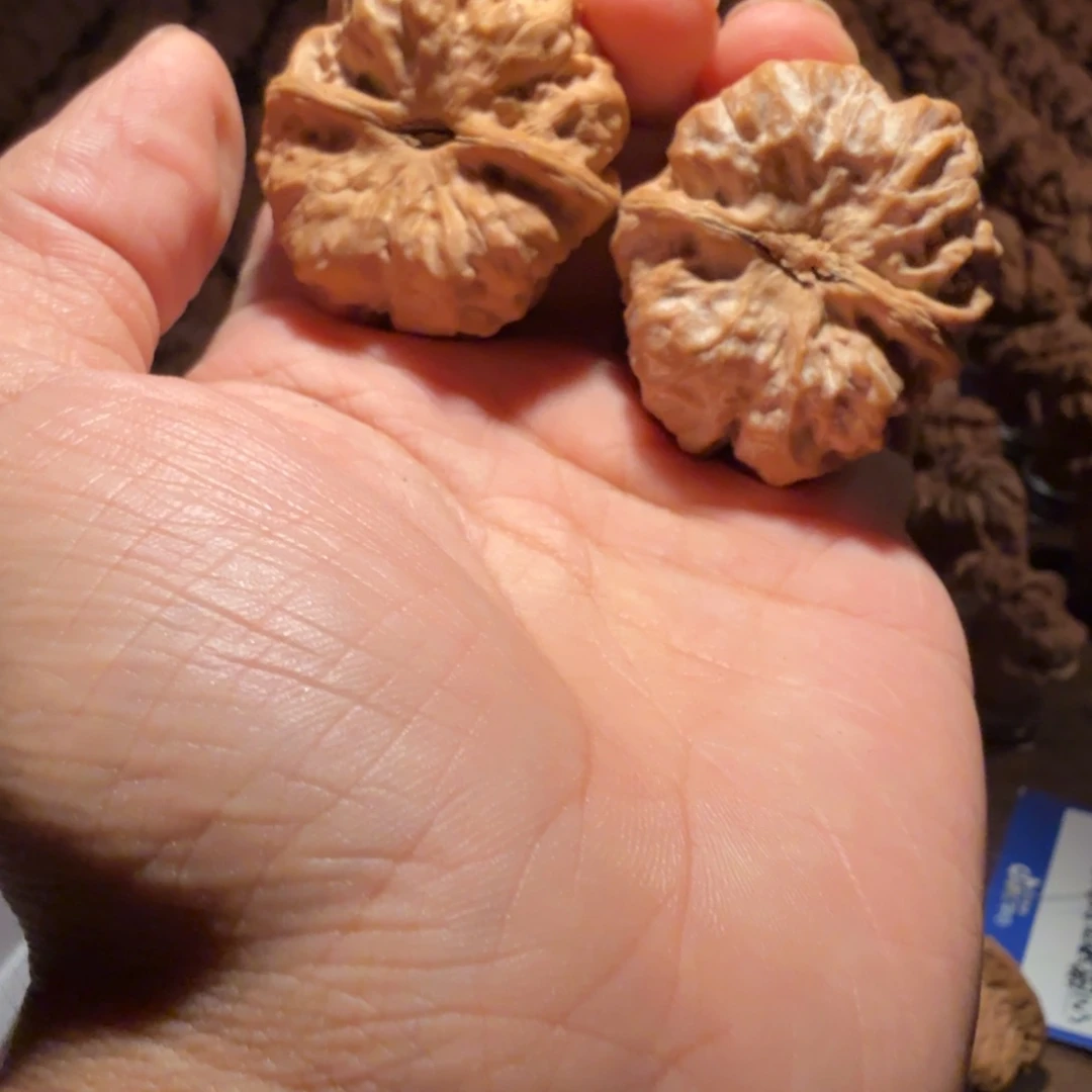 ****吊坠文玩核桃蛤蟆的眼睛是真的好看啊我的天啊