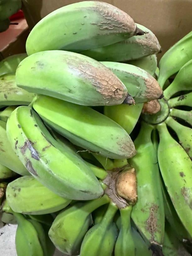 【滇缅源头山货】云南高海拔老品种芭蕉
