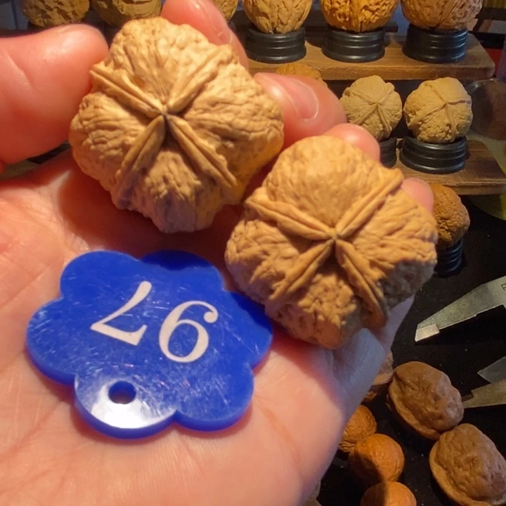 铁核桃蚂蚁四棱34尺