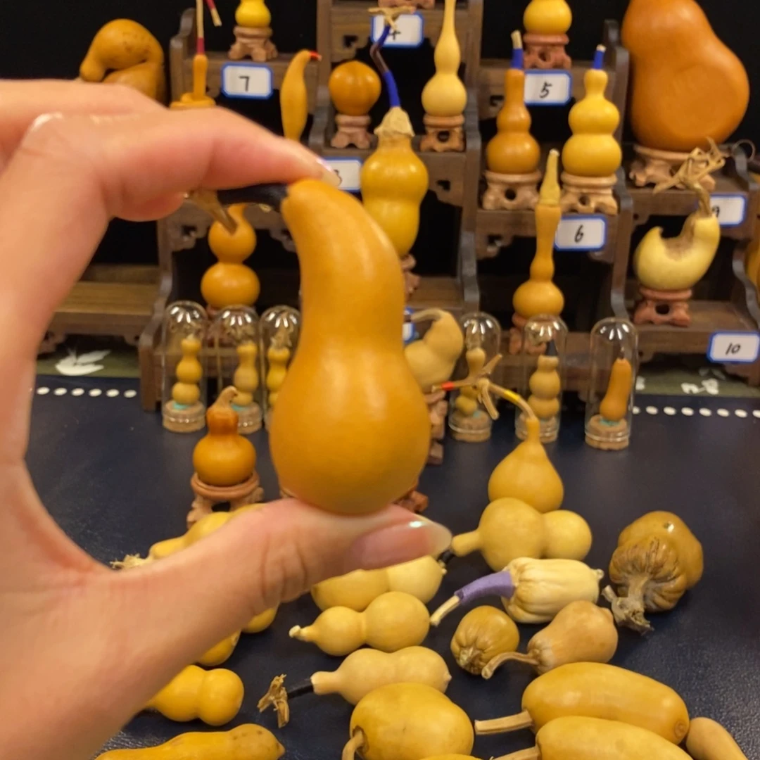 兴****哈哈哈哈哈哈哈哈哈哈哈哈哈哈