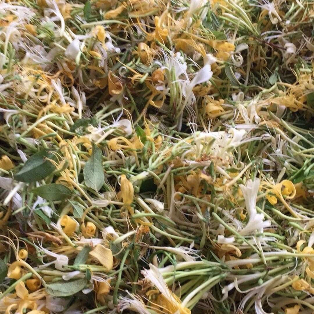 正宗野生深山金银花干茶无硫熏自然晾晒可泡茶煮水中药材