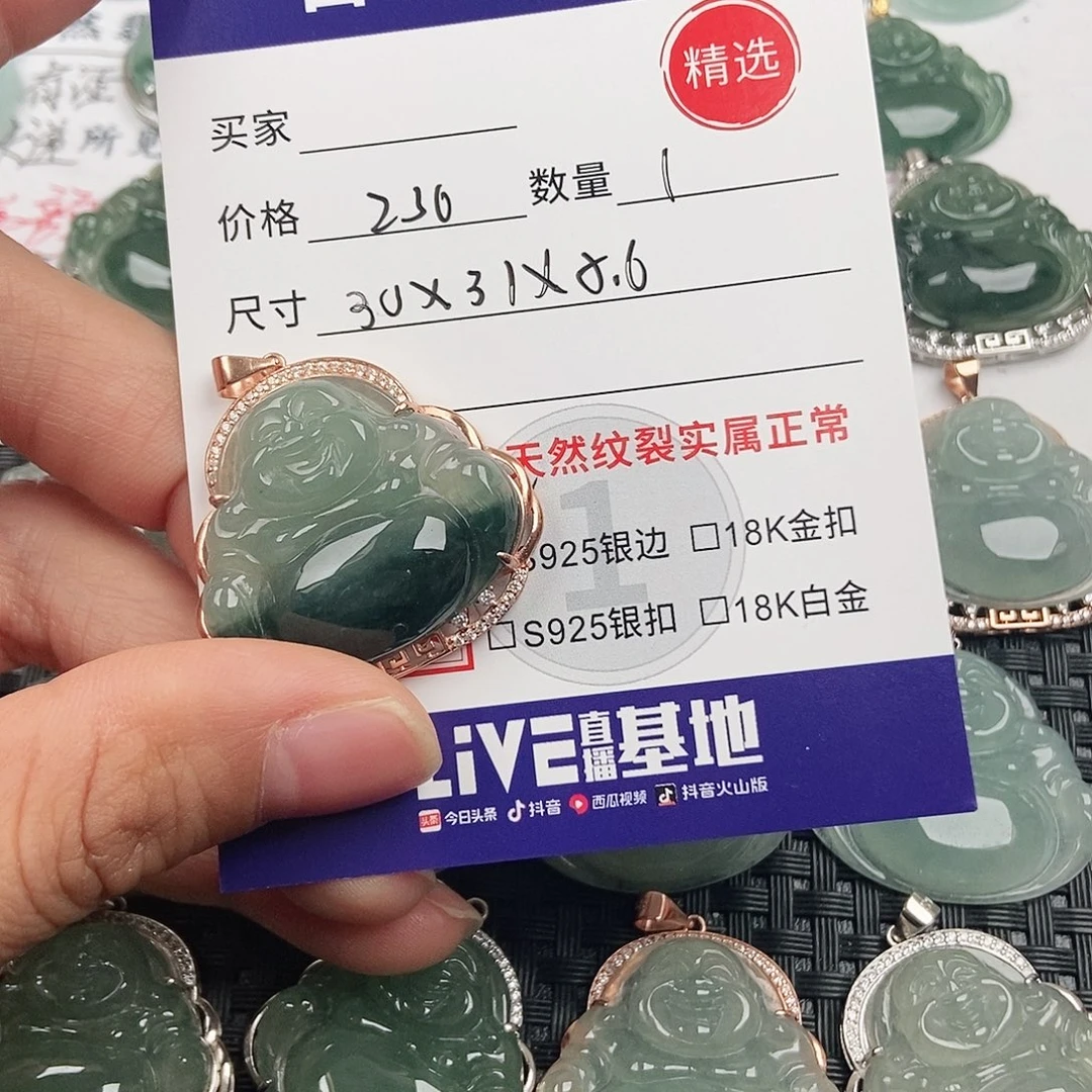 翡翠银S925镶嵌颈饰