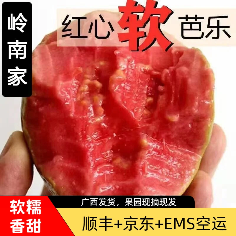 【软糯香甜】广西红心软芭乐老树番石榴白心新鲜水果低糖农家3斤5斤