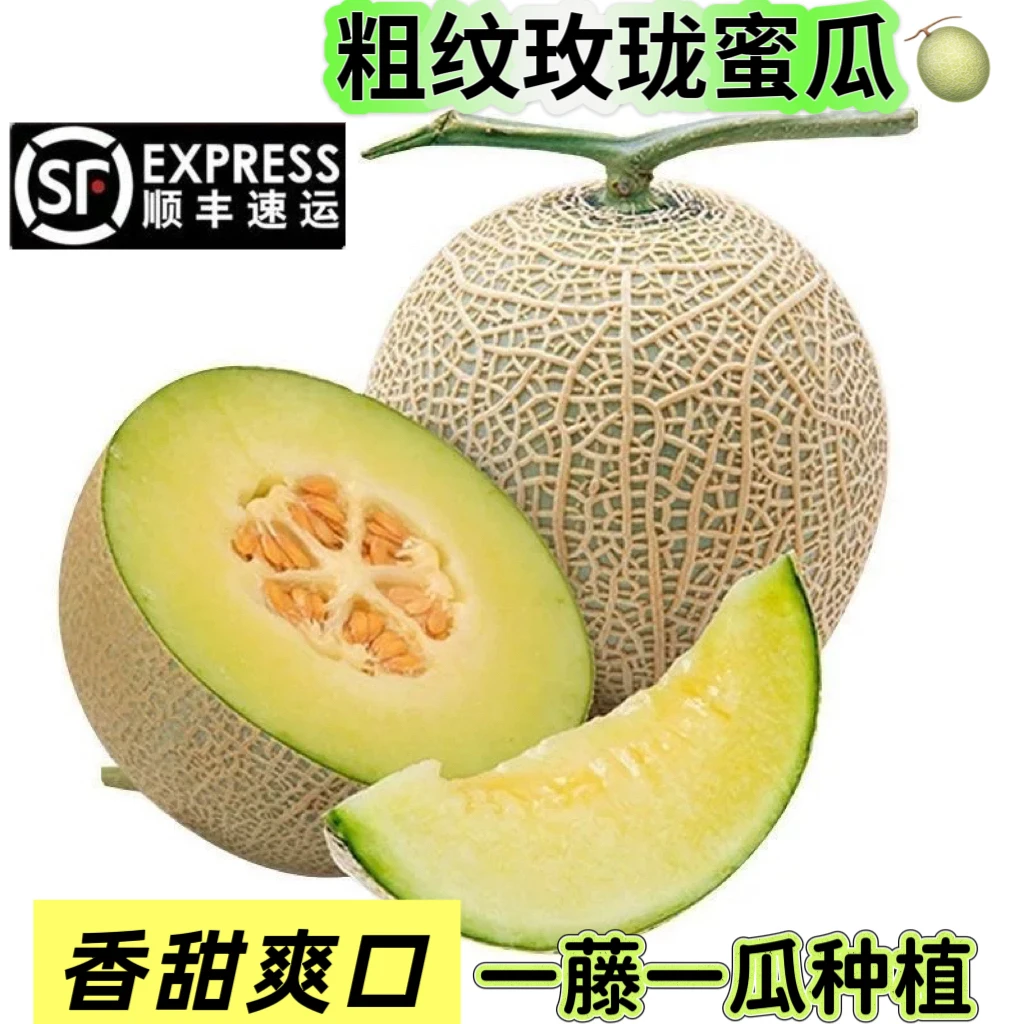 《小军严选》玫珑瓜 正品粗纹玫珑瓜冰其淋口感 顺丰包邮海南省