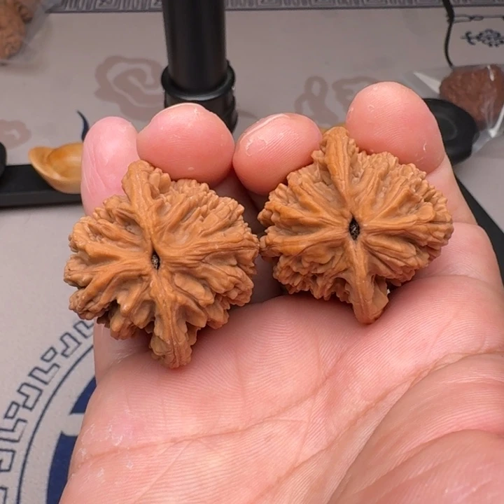 桃核把件山地麦虎29尺2