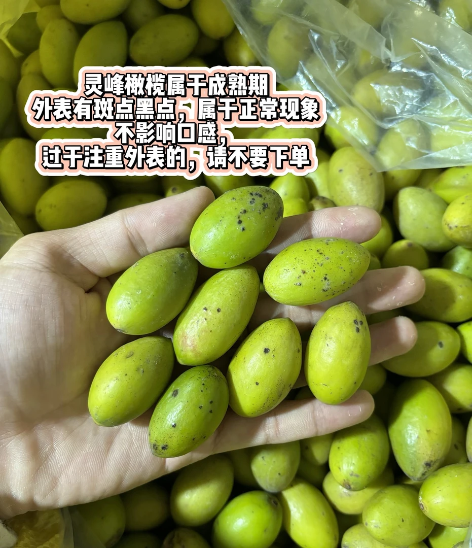 潮汕金灶本地灵峰橄榄生吃 回甘 袋装一斤装 礼盒两斤装