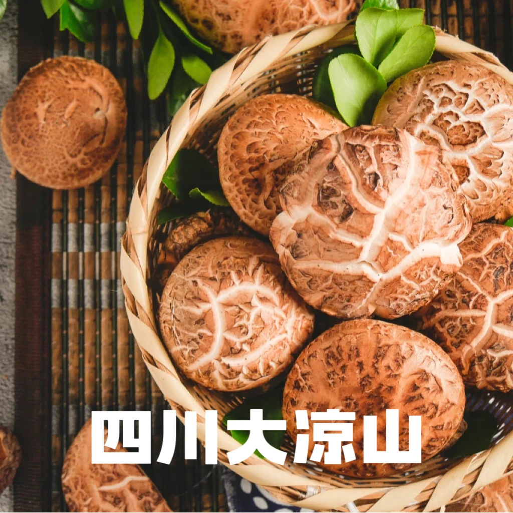 四川大凉山干香菇100/250/500g